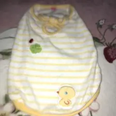 Item thumbnail for item e826ecc0-79f5-4cbb-8e7b-207b552903f8