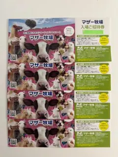 マザー牧場入場 ご招待券 4枚
