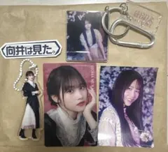 櫻坂46 サクコレ オンラインくじ 向井純葉 まとめ売り