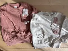 立体　うさぎ　ピューピルハウス　110 120