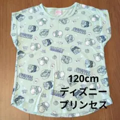 120cm ディズニープリンセス半袖カットソー