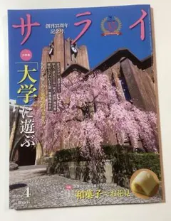 Item thumbnail for item c7962fa2-140d-4571-b89d-f7c713fe4dd6