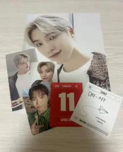 세븐틴 시그리 2024 2025 디노