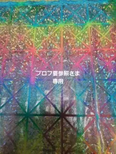 プロフ要参照さま　専用