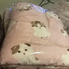 Item thumbnail for item 7559b90b-49ec-434f-bb57-d0287859293e