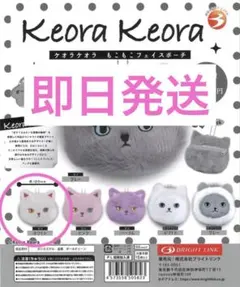 ケオラケオラ もこもこフェイスポーチ ポーチ　ネコ ホワイト　ガチャガチャ