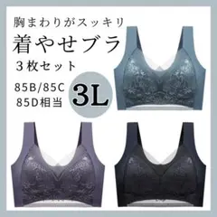【3L】胸をスッキリ見せるブラ 3枚 シームレス ノンワイヤー ナイトブラ着痩せ