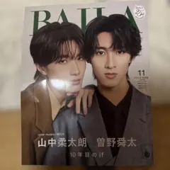 BAILA バイラ 11月号 特別版