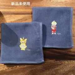 Item thumbnail for item 2a2563dd-5da7-4a65-98a1-18d0c1e92d0e