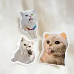 Item thumbnail for item 93fb43d5-c442-40b1-ac0b-ff7b477995e6