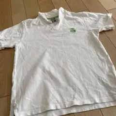 チャムス　ポロシャツ