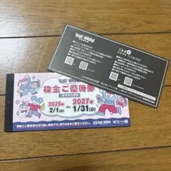 ヴィレッジヴァンガード株主優待券 ビレッジバンガード優待券 24,000円分 【公式通販】