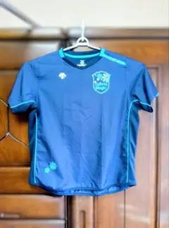 Item thumbnail for item b2c5d560-04d0-4c64-a301-94f02c26be9a