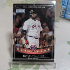 デビッド・オルティス sega card gen MLB 2010