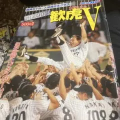 【送料無料】貴重・非売品 2003年 阪神タイガース優勝記念 B全ポスター 送料無料】貴重・非売品 2003年 阪神タイガース優勝記念 B全ポスター