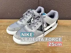 NIKE SB DELTA FORCE グレー スニーカー 25cmのサムネイル