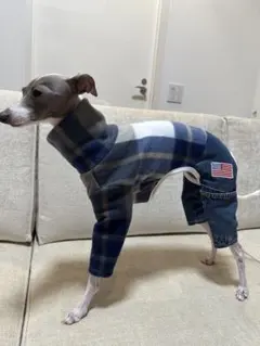 イタグレ服 ペットグッズ