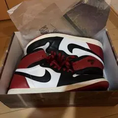 Nike Air Jordan 1 Retro High OG つま黒