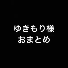 ゆきもり様 リクエスト 2点 まとめ商品