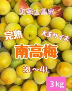 和歌山 紅 南高梅 3L4L 3kg クール便 - メルカリ