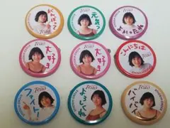 Teao HirosueRyoko缶バッジ 10個セット広末涼子　激レア当時物 Teao HirosueRyoko缶バッジ 10個セット広末涼子 激レア当時物 Teao