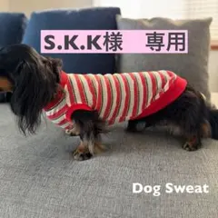 S.K.K様専用　ハンドメイド犬服　DSサイズ　スイカボーダーのTシャツ