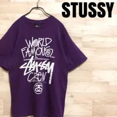 ✨STUSSY ステューシー OLDMODEL ワールドツアー 半袖 Tシャツ✨のサムネイル