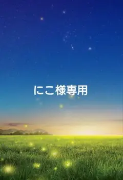 にこ様専用あつ森amiiboカード