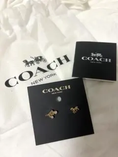 COACH レキシー ピアス ゴールド 未使用 プレゼント包装 COACH レキシー ピアス ゴールド 未使用 プレゼント包装 - メルカリ