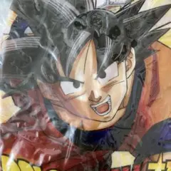 Item thumbnail for item c6e8ea75-609a-471d-8e9a-03a87e6d701c