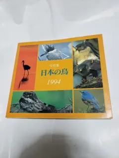 2026年最新】鳥 写真集の人気アイテム - メルカリ