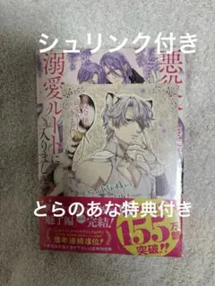 悪役令嬢は溺愛ルートに入りました!?(コミック)(6)