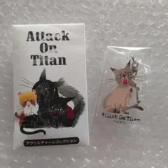 2026年最新】黒ねこ意匠 進撃の巨人の人気アイテム - メルカリ