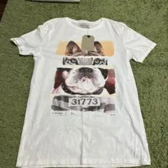 ZARA BOYS 犬プリント Tシャツのサムネイル