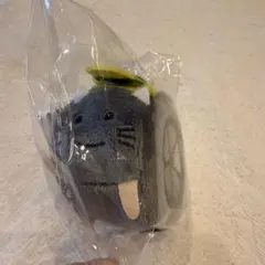 ハッとにゃん メジャー
