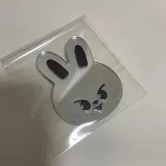 Stray Kids SKZOOミラーステッカー