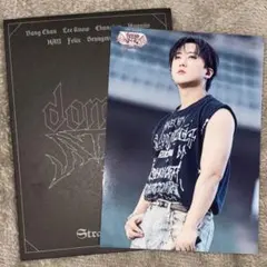 StrayKids スキズ チャンビン VR 会場限定 ランダムトレカ