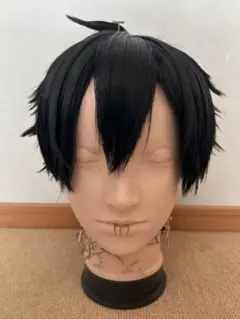 桃源暗鬼 並木度馨 コスプレ ウィッグ - メルカリ