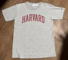 Champion HARVARD 半袖 Tシャツ M グレー