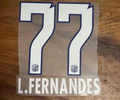 セレッソ大阪 24-25 ルーカスフェルナンデス マーキング