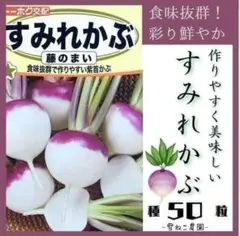 【野菜の種】中が鮮やかピンク「あざやか紅心大根」種２０粒　収穫約６０日～ 野菜の種】中が鮮やかピンク「あざやか紅心大根」種20粒 収穫約60