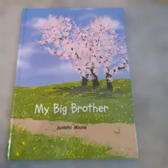 英語　絵本　DWE My Big Brother