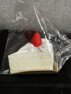 2026年最新】食品サンプルショートケーキの人気アイテム - メルカリ