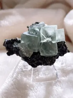 2025年最新】フローライトの人気アイテム - メルカリ