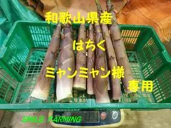 和歌山県産　はちく　ミャンミャン様専用
