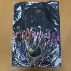 BABYMETAL TOKYO DOME MEMORIAL TEE L