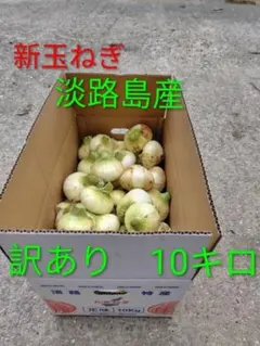 淡路島 新玉ねぎ 七宝 訳あり 10キロ - メルカリ