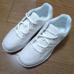 Item thumbnail for item 66f94dac-e39f-4524-8a7d-c575a25ccf1b