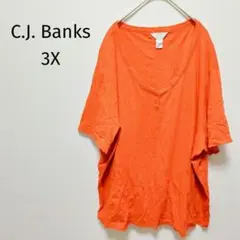 Item thumbnail for item 6b92344b-cb01-4617-a28a-58fc0d9345bf