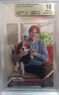 Item thumbnail for item 09f854fb-2573-4fa6-b483-890711846d26